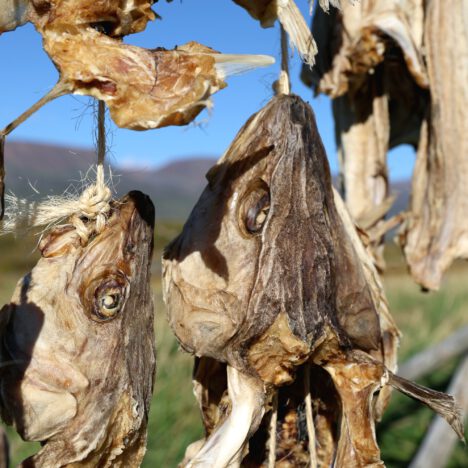 Fr. 29.08. – Tag 17