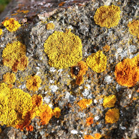 Sa. 30.08. – Tag 18