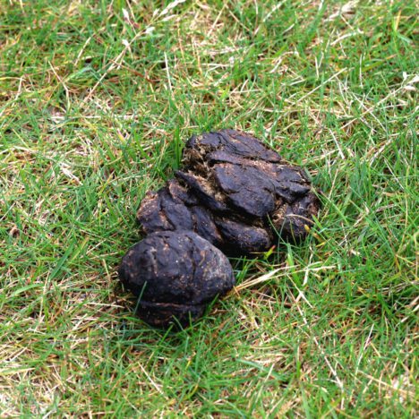 So. 31.08. – Tag 19